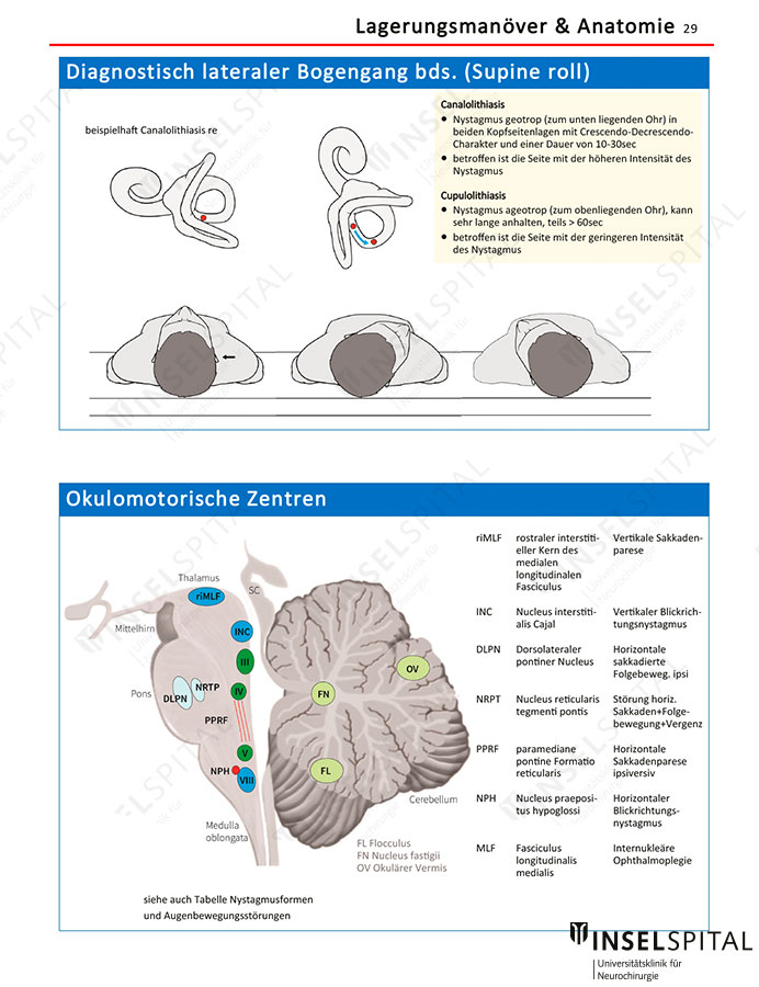 Neuropocket Beispielseite