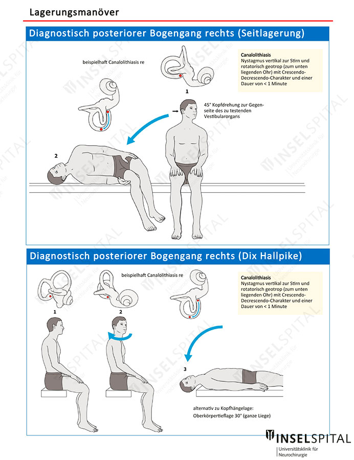 Neuropocket Beispielseite